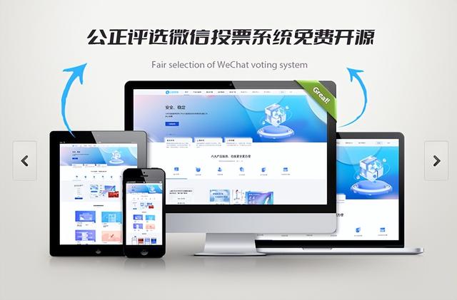 投票软件微信投票软件手机版插图