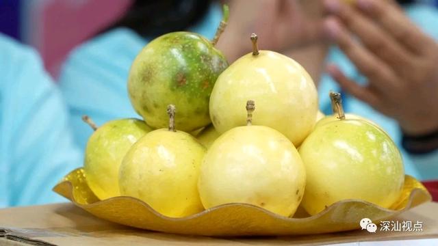 零基础主播培训零基础主播培训资料怎么写插图2