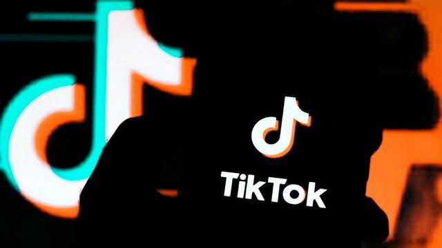 tiktok网页入口urlebird插图