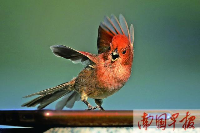 焦点图焦点图是什么意思网络用语插图5 焦点图焦点图是什么意思网络用语插图5