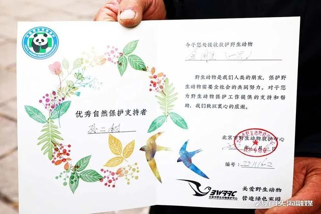 金雕插图7 金雕插图7