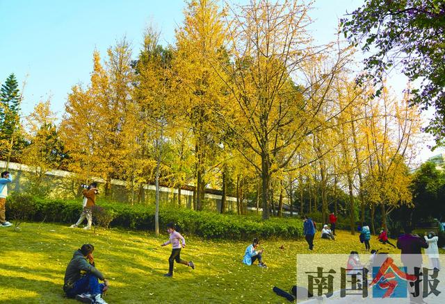 焦点图焦点图是什么意思网络用语插图6 焦点图焦点图是什么意思网络用语插图6