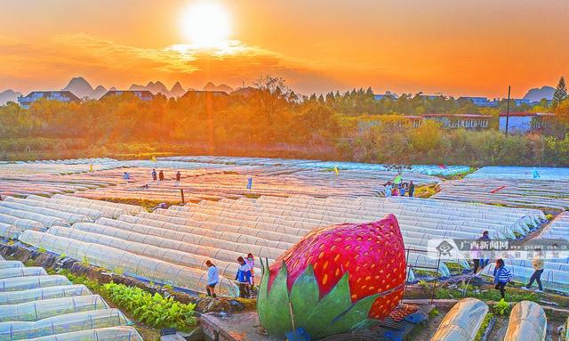 焦点图焦点图是什么意思网络用语插图2 焦点图焦点图是什么意思网络用语插图2