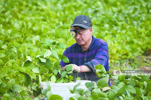 焦点图焦点图是什么意思网络用语插图8 焦点图焦点图是什么意思网络用语插图8