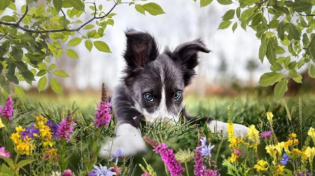 卖照片赚钱网站卖照片赚钱网站哪个好用插图4