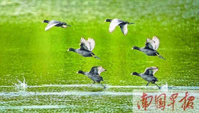 焦点图焦点图是什么意思网络用语插图3 焦点图焦点图是什么意思网络用语插图3