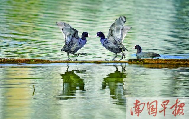 焦点图焦点图是什么意思网络用语插图4 焦点图焦点图是什么意思网络用语插图4