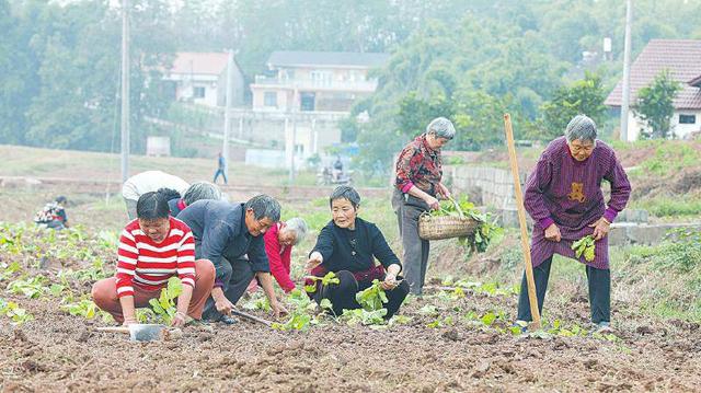 乡镇空缺生意乡下有什么可以代加工的插图2