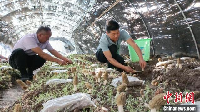 乡镇空缺生意乡镇空缺生意手工活加工插图 乡镇空缺生意乡镇空缺生意手工活加工插图