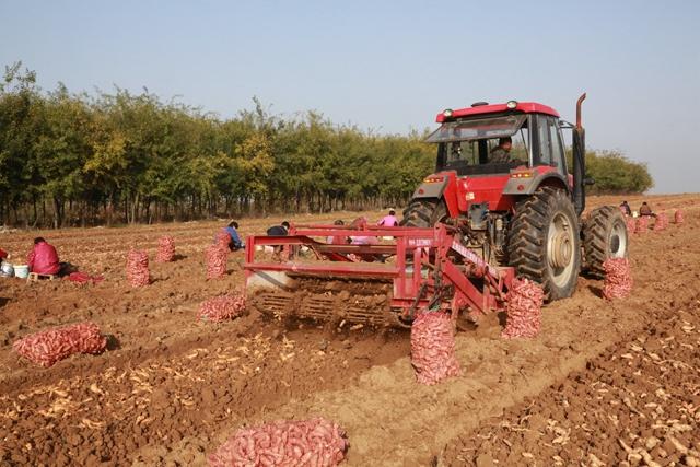 寻找药厂合作种植药材和药厂合作做一个中药材种植基地插图 寻找药厂合作种植药材和药厂合作做一个中药材种植基地插图