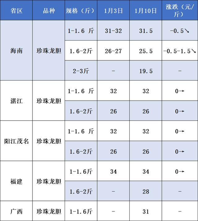 龙胆鱼价格—斤多少钱龙胆鱼的价格插图