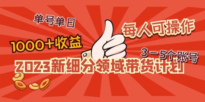 2023新细分领域带货计划:单号单日1000 收益不难,每人可操作3-5个账号插图 2023新细分领域带货计划:单号单日1000 收益不难,每人可操作3-5个账号插图