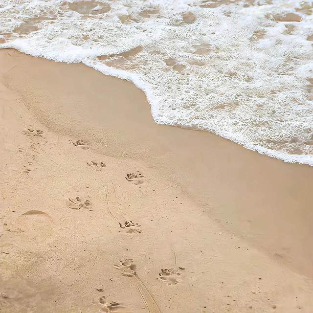 微信红包24小时没领为什么没退回微信红包24小时没领为什么没退回现实已过期插图2