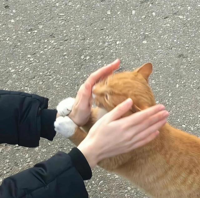 微信红包24小时没领为什么没退回微信红包24小时没领为什么没退回现实已过期插图3