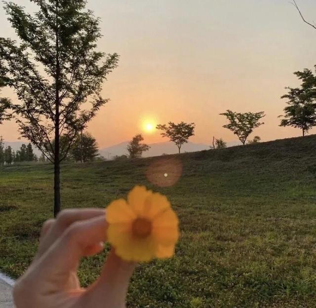 微信红包24小时没领为什么没退回微信红包24小时没领为什么没退回现实已过期插图1