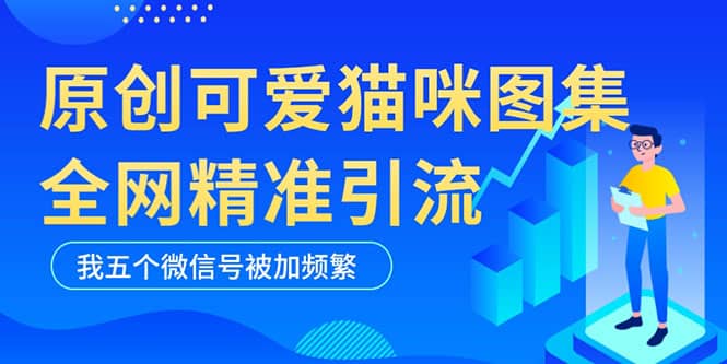 黑科技纯原创可爱猫咪图片，全网精准引流，实操5个VX号被加频繁插图