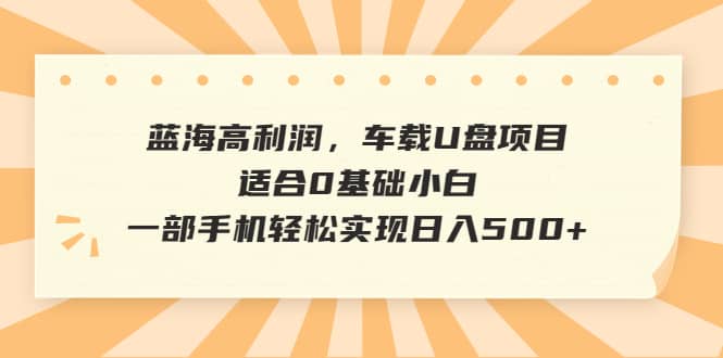 蓝海高利润,车载U盘项目,适合0基础小白,一部手机轻松实现日入500插图 蓝海高利润,车载U盘项目,适合0基础小白,一部手机轻松实现日入500插图