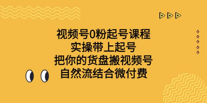 视频号0粉起号课程 实操带上起号 把你的货盘搬视频号 自然流结合微付费插图