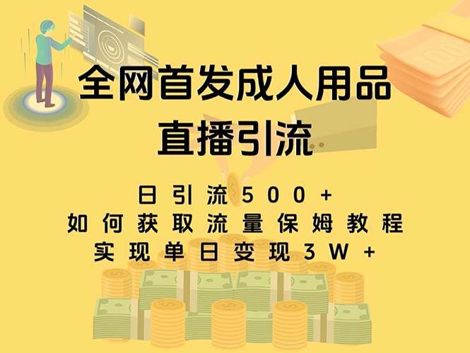最新全网独创首发,成人用品直播引流获客暴力玩法,单日变现3w保姆级教程插图 最新全网独创首发,成人用品直播引流获客暴力玩法,单日变现3w保姆级教程插图