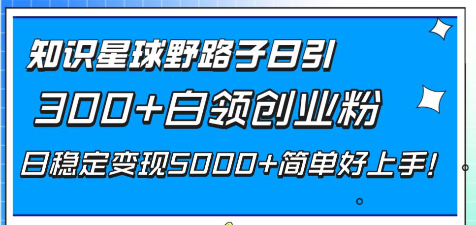 知识星球野路子日引300 白领创业粉,日稳定变现5000 简单好上手!插图 知识星球野路子日引300 白领创业粉,日稳定变现5000 简单好上手!插图