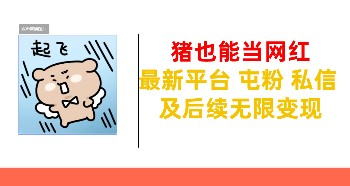 猪也能当网红-最新平台 屯粉 交流 私信 及后续无限变现插图 猪也能当网红-最新平台 屯粉 交流 私信 及后续无限变现插图