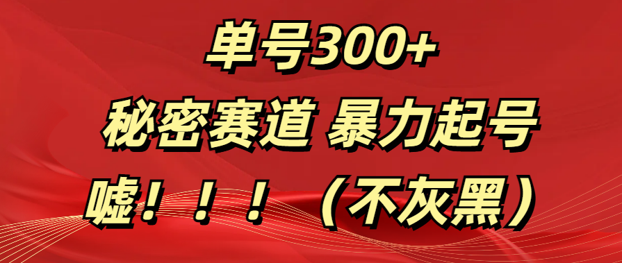 单号300+ 秘密赛道 暴力起号 (不灰黑)插图 单号300+ 秘密赛道 暴力起号 (不灰黑)插图