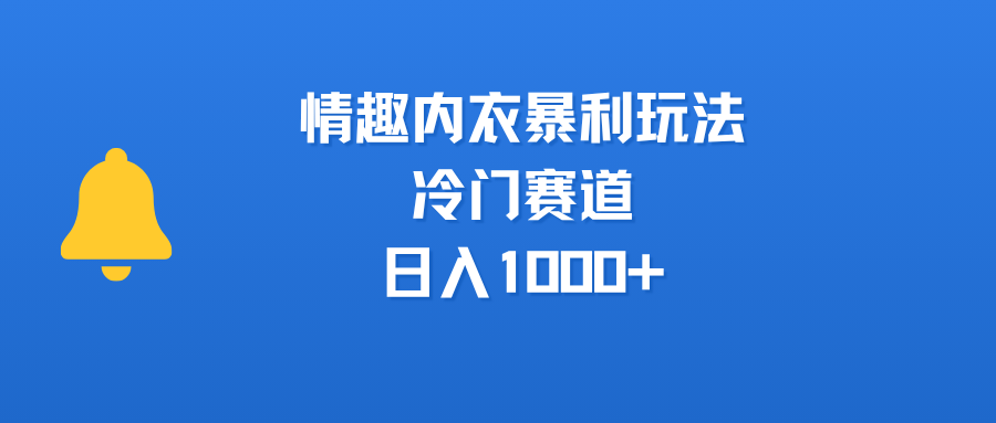 情趣内衣暴利玩法,冷门赛道,日入1000+插图 情趣内衣暴利玩法,冷门赛道,日入1000+插图