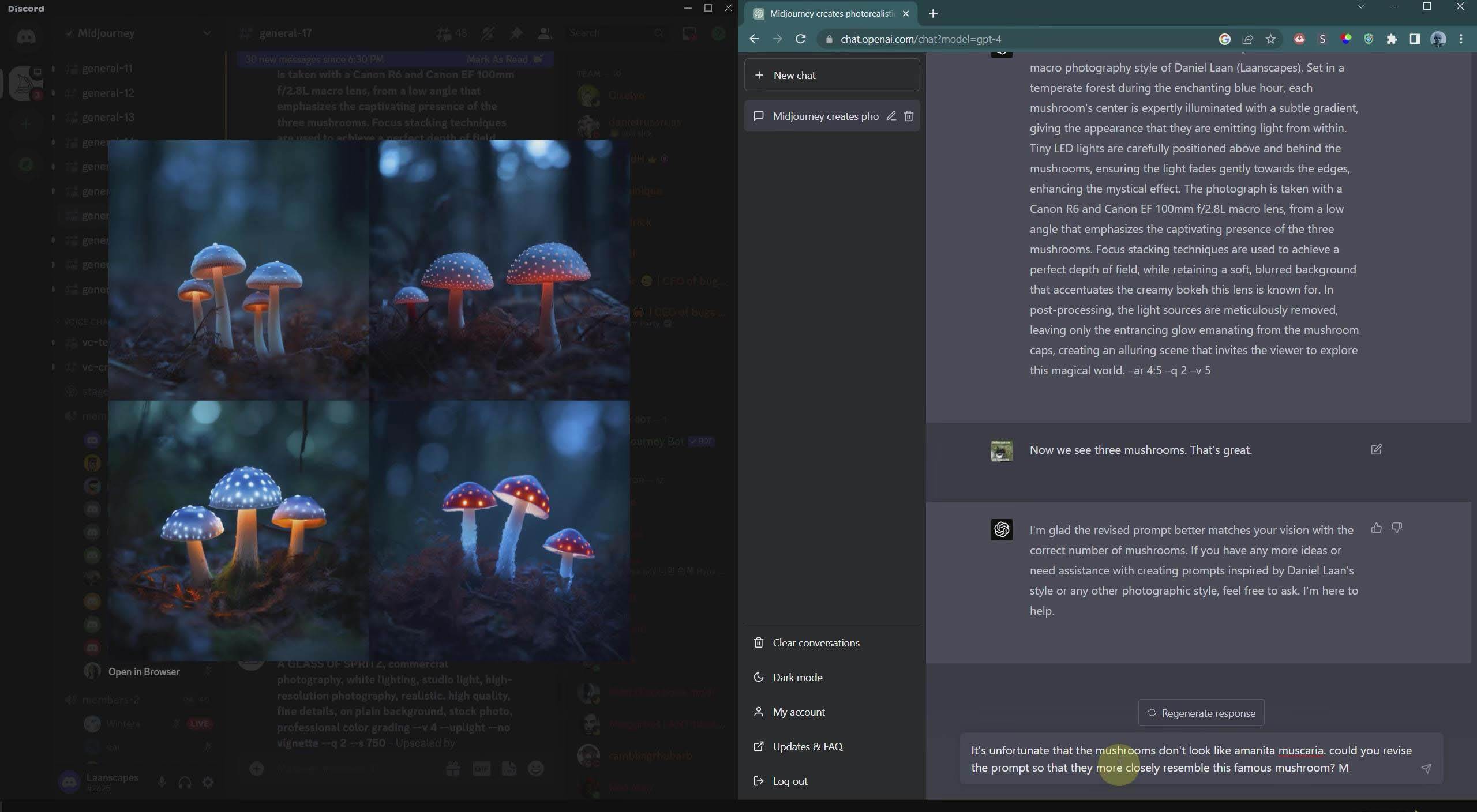 摄影师 Daniel Laan 使用ChatGPT与Midjourney生成风光图像-中英字幕插图5 摄影师 Daniel Laan 使用ChatGPT与Midjourney生成风光图像-中英字幕插图5