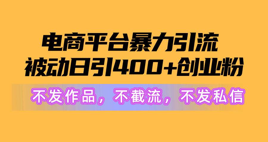 电商平台暴力引流,被动日引400+创业粉不发作品,不截流,不发私信插图 电商平台暴力引流,被动日引400+创业粉不发作品,不截流,不发私信插图
