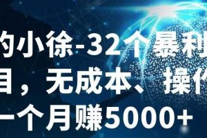 进击的小徐-32个暴利小项目，无成本、操作简单一个月赚5000