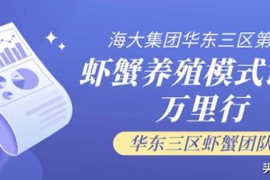 —个10亩鱼塘养鱼利润10亩池塘养鱼利润