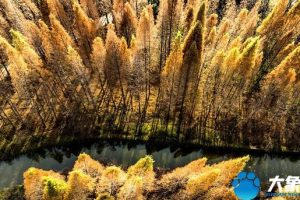 洛阳旅游洛阳旅游攻略自由行攻略