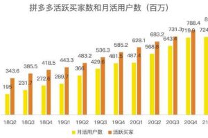 蓝海项目拼多多视频带货课，2022年入百万新风口【视频教程 软件】