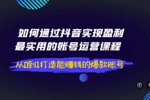 如何通过抖音实现盈利，最实用的账号运营课程 从0到1打造能赚钱的爆款账号