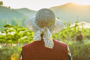 拼多多怎么算新用户拼多多怎么算新用户助力成功