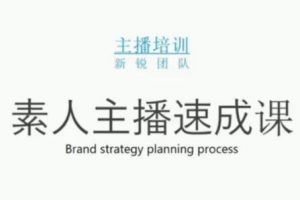 雨婷团队·素人主播两天养成计划,月销千万的直播间脚本手把手教学落地