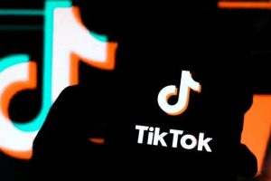 tiktok网页入口urlebird