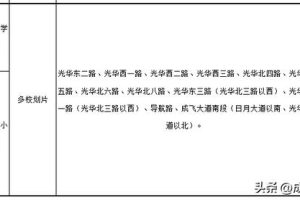 成都高新区小学排名成都高新区小学排名一览表查询