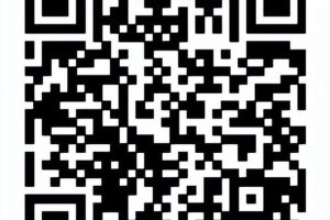 投票人工团队网上人工投票