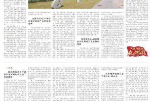 芮晓武芮晓武_级别