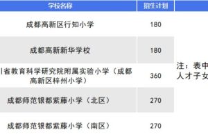 成都高新区小学排名前十名成都高新区小学排名前十名有哪些初中