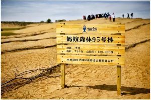 蚂蚁森林暴露消费记录通过蚂蚁森林看消费记录