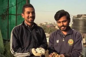 烟头回收烟头回收多少钱一斤是抽过的烟头吗