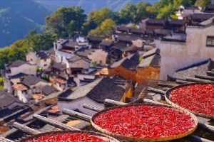 江西特产江西特产有哪些土特产零食