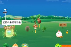 蚂蚁森林—天9000能量蚂蚁森林一天9000能量森林能量产生规则