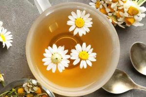 女生的小雏菊长什么样雏菊花长什么样子