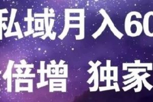 原力网赚精准私域月入60000 ,流量倍增独家玩法