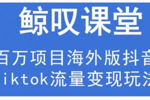 鲸叹号·海外TIKTOK训练营，百万项目海外版抖音tiktok流量变现玩法