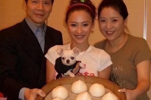 张柏芝回应生三胎生父刘德华张柏芝生三胎真实生父是谢霆锋