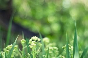 最聪明的存钱法12个月最聪明的存钱法是存折还是卡